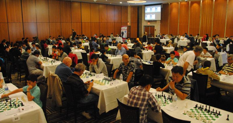 Chess to remember 2016