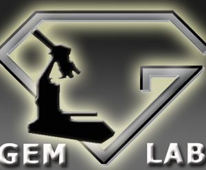 Gem Lab, Shant Purutoglu
